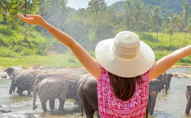 6-Day Short Tour in Sri Lanka